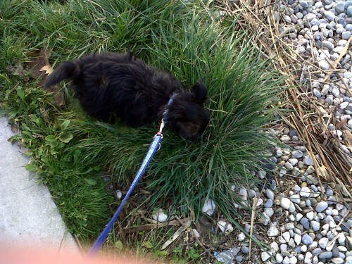 IMG00007-20121118-1555