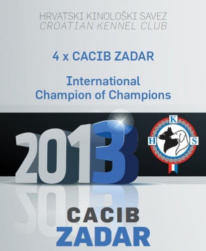 CACIB_ZADAR_2013_1356035990