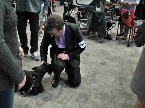 580306_520124334690599_857412398_n